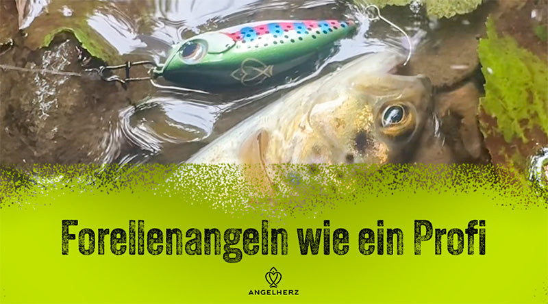 🎣 Forellenangeln wie ein Profi – Die besten Strategien für konstante Fänge