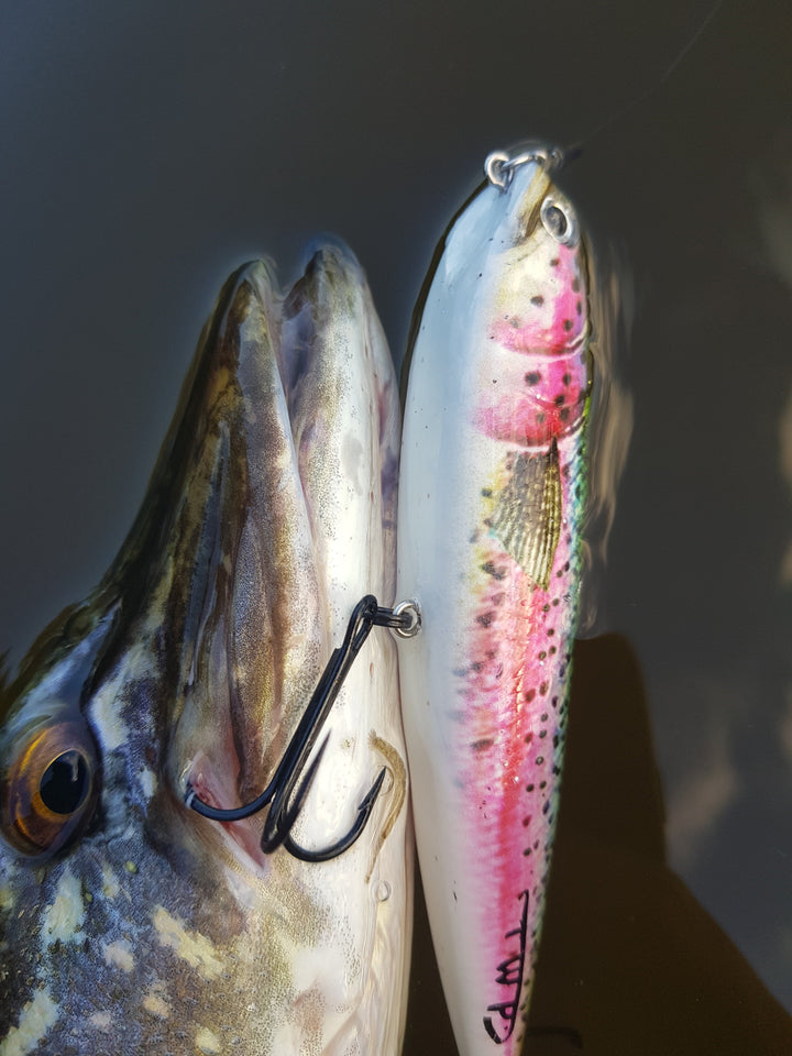 Topwater Production Dream Catcher 11 cm | Walk-the-Dog Hechtköder