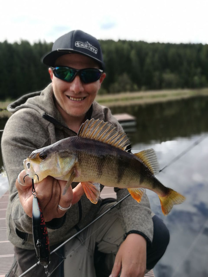 Topwater Production Dream Catcher 11 cm | Walk-the-Dog Hechtköder