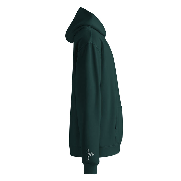 Nikos - oversized hoodie - Icebird